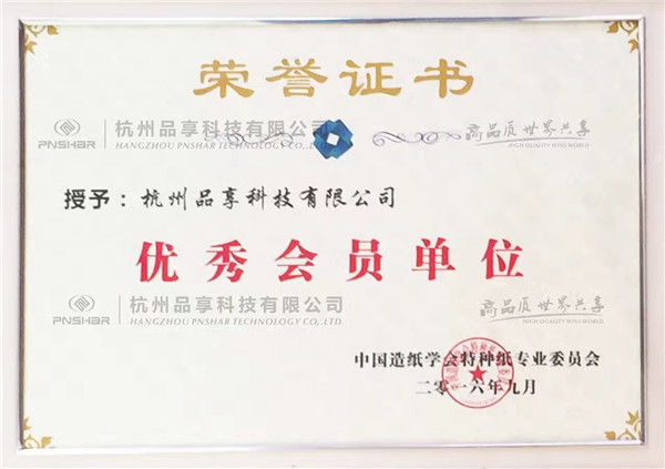 Member of Special Paper Committee of Chinese Paper Society